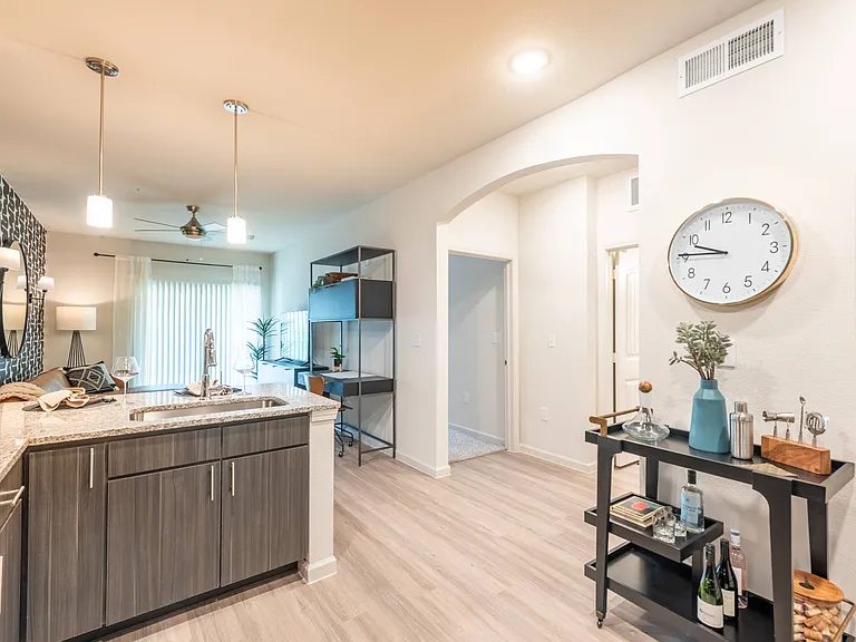 A1 Kitchen and Living Area