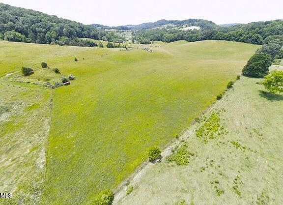 5th image of Tipton Ln