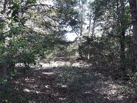3rd image of 164 Carmen Hill Ln