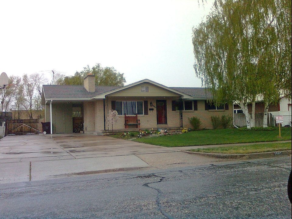 Front Garden in Bloom