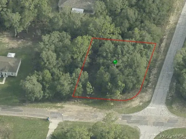 2005 W Swanson Dr, Citrus Springs, FL 34434