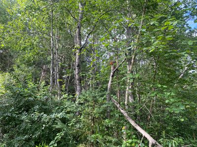 ON Delap Lane, Couderay, WI, 54828