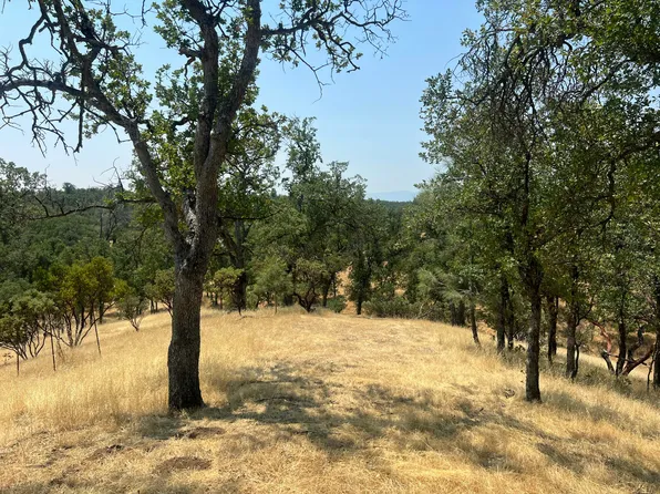 63 Little Oak Ln, Cottonwood, CA 96022