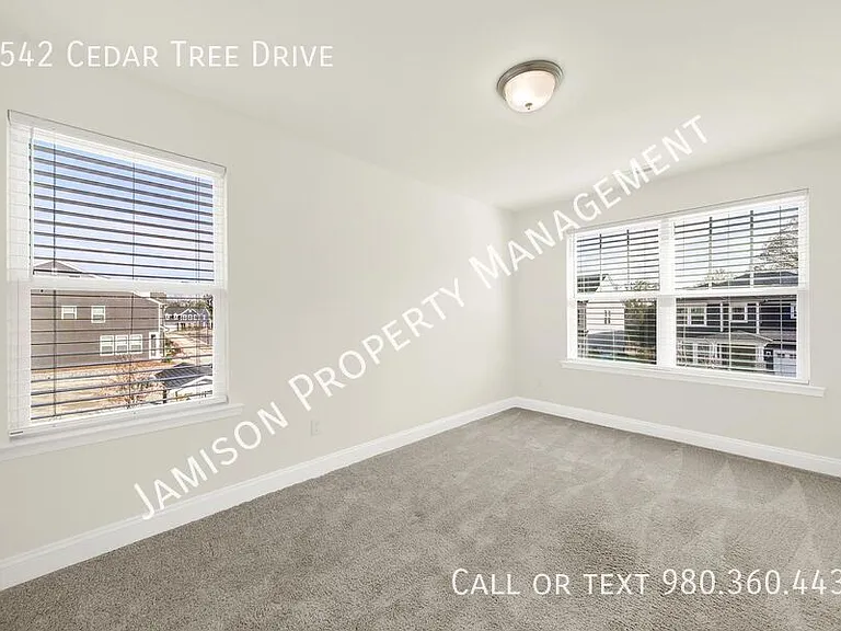 1542 Cedar Tree Dr — Photo 11