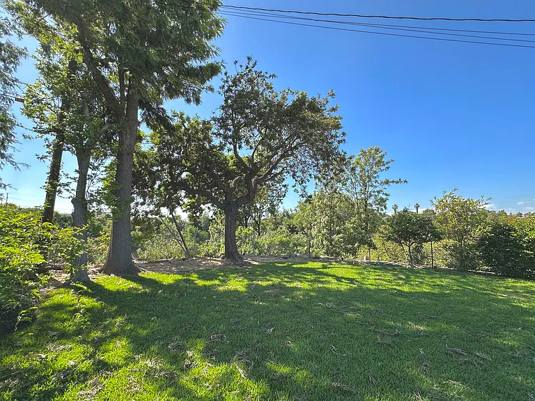 248 Bloom Dr — Photo 27