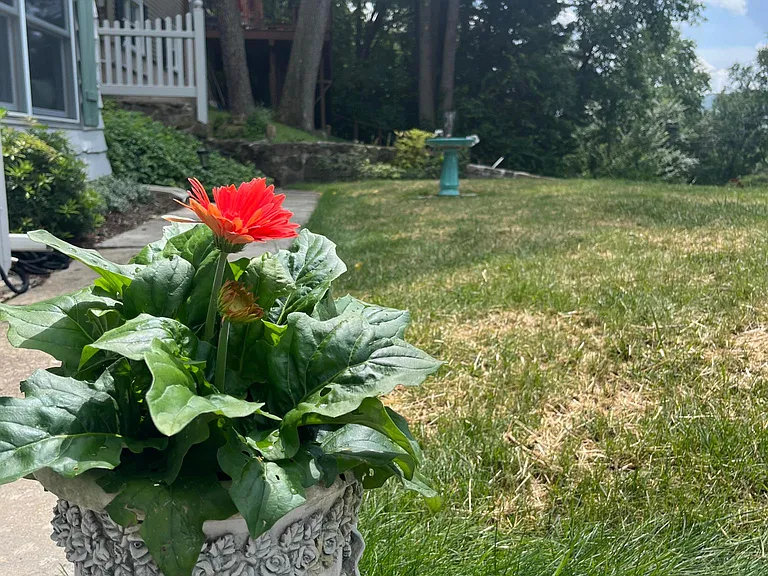 Front of house with Birdbath/fountain.