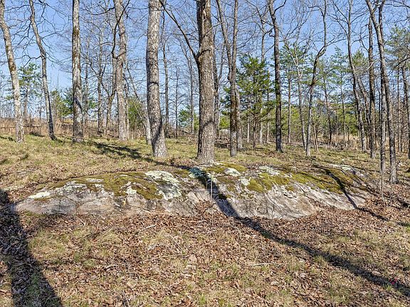 5th image of 8 W Bluff Rd