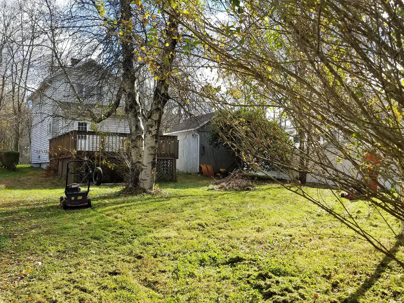 1129 Walnut St — Photo 4