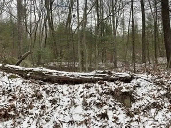 LOT Maxwell Rd #C, Monson, MA 01057