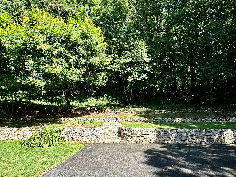 Back yard.