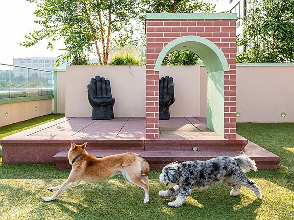 Dog Run