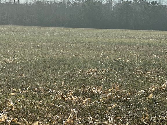 3rd image of 2 Fisher Landing Road