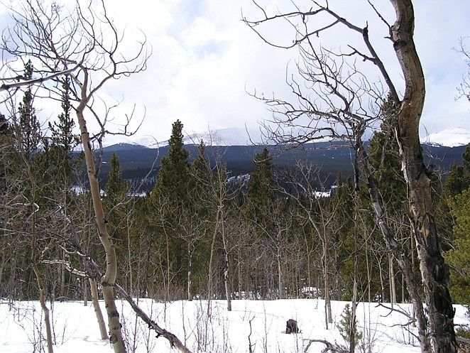 View of the Mosquito Range