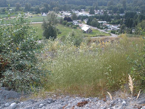 view to West at top of hill