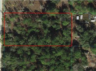 2091-017-017 SW 168th Ave LOT 17, Ocala, FL 34481