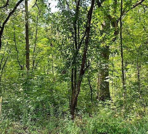 5th image of 2750 Forest Glen Trl