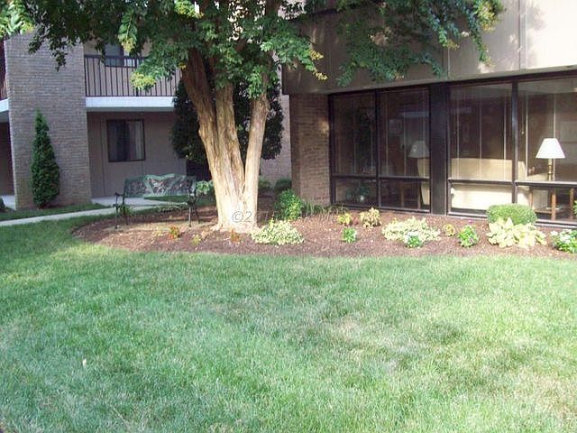 Court Yard