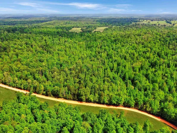 001-08235-000 State Highway 223, Pineville, AR 72566