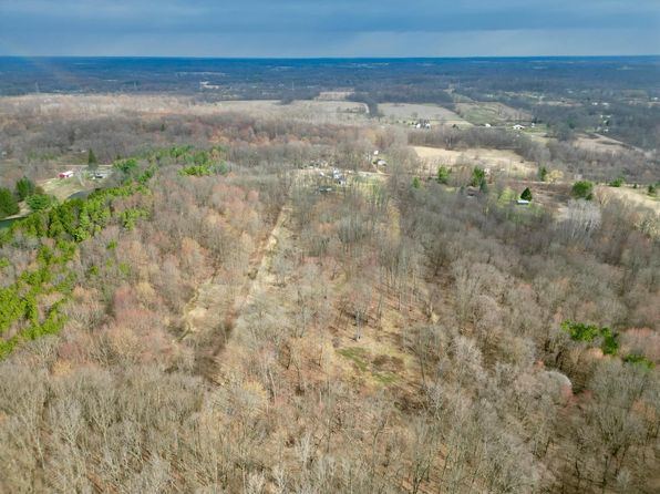 11638 N West Dr, Bellevue, MI 49021