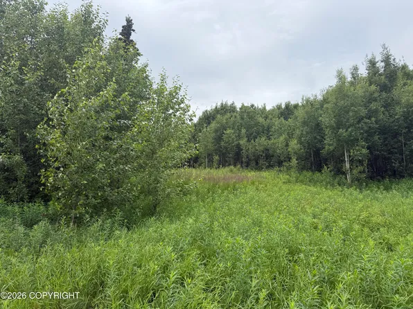 2150 S Sea Biscuit Ln, Palmer, AK 99645