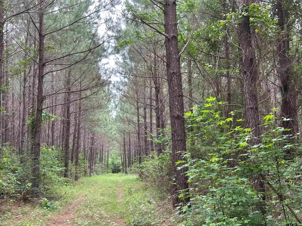 Sand Rd, Lufkin, TX 75904