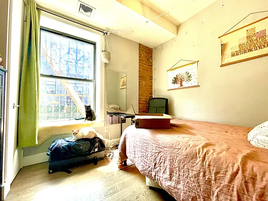 Rented by PadRabbit LLC | media 1