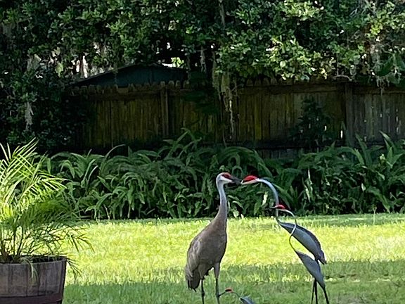 2nd image of 5334 Julia Ln