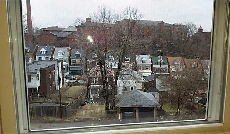 View from Kitchen