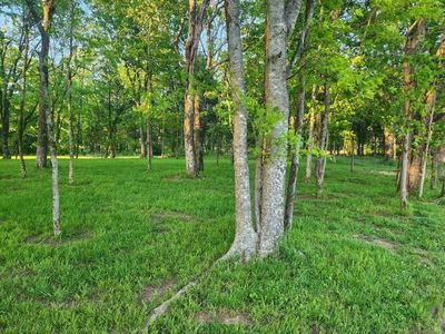 2181 Saint Johns Rd, Lascassas, TN, 37085