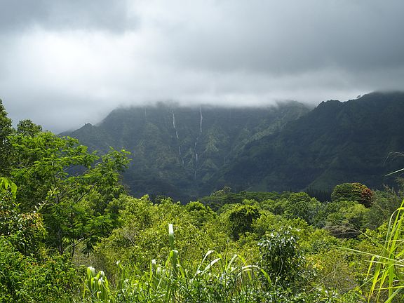 Makaleha Falls homesite view