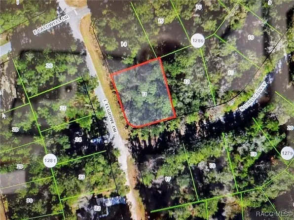 551 E Elgrove Dr Lot 13, Dunnellon, FL 34434
