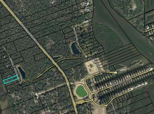 65 Bridle Ridge Ct, Flagler Beach, FL 32136