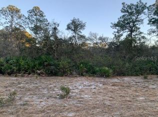 131 Edgemere Dr LOT 135, Georgetown, FL 32139