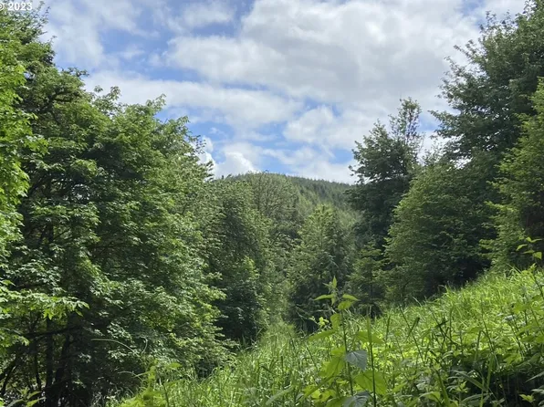 Beaver Falls Rd, Clatskanie, OR 97016