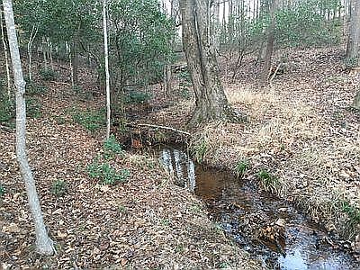 Creek Borders Property