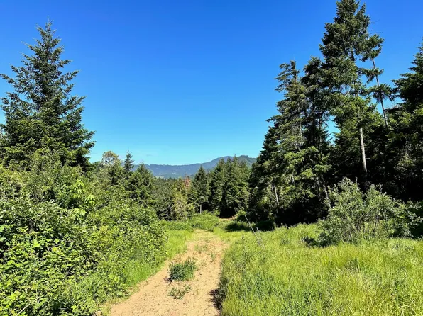 780 Tunnel Rd, Glendale, OR 97442