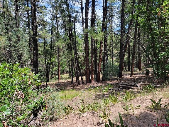 3rd image of  Echo Lake Access Easement
