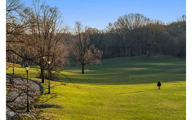 Sold by Douglas Elliman | media 22