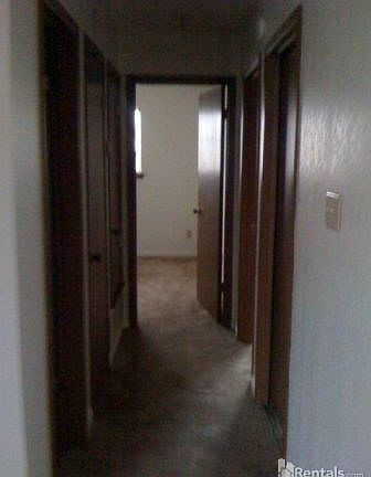 5th image of 3812 Trotwood Trl