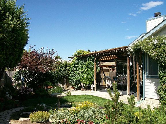 Backyard north