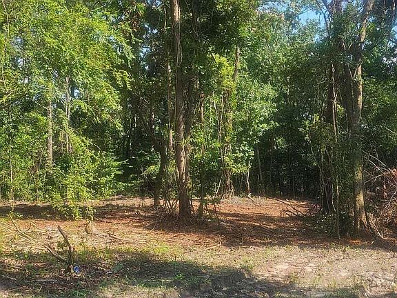 5th image of 470 Forrest Dr