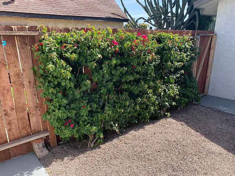 Fenced private yard