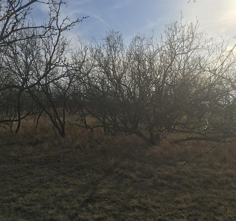 1st image of 1215 N Business Highway 84