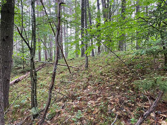 4th image of 161 Algonquin Trl