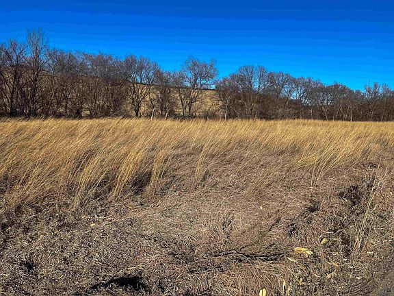 3rd image of 2561 Wigle Creek Rd