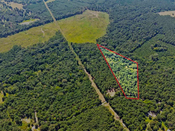 LOT 2 County Road 1240, Pittsburg, TX 75686