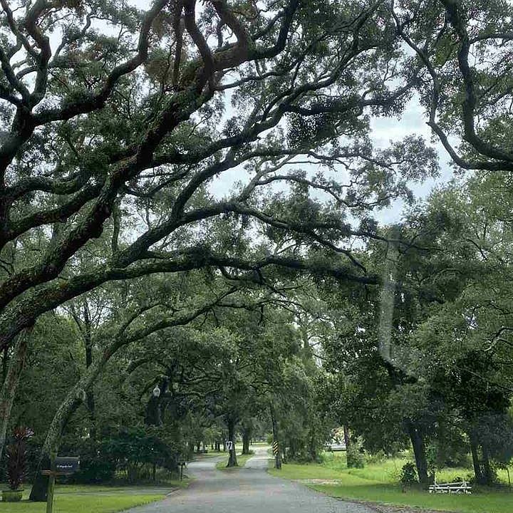 1st image of 0 Magnolia Dr