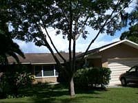 1st image of 12801 Lois Ave