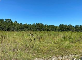 Powell Loop, Andrews, SC 29510