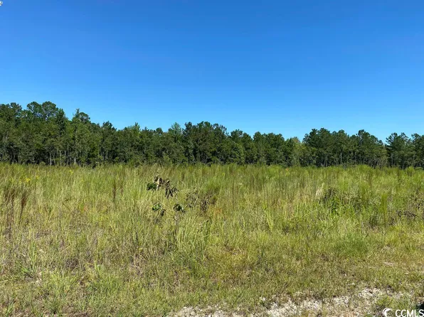  Powell Loop, Andrews, SC 29510